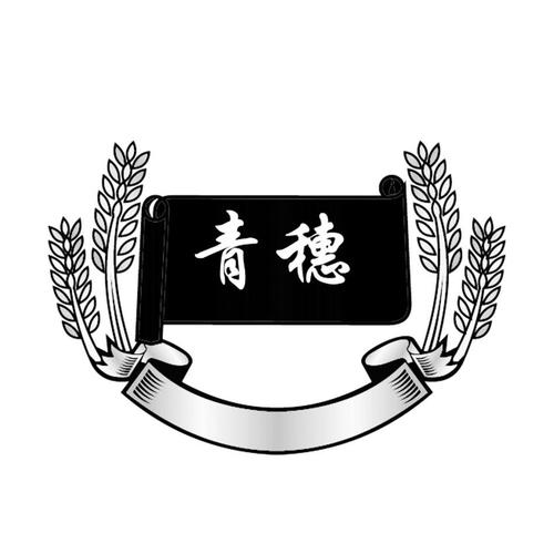 青穗信息科技——工商信息查询与信用公示体系解析