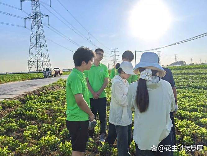 青穗躬耕解农问 燎原科技沃花生——记青穗信息科技的现代农业科技助农之路
